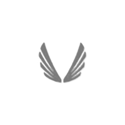 V Brand