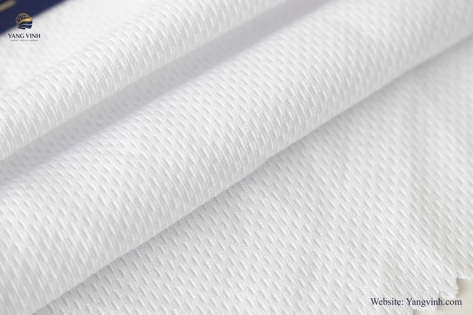 Knit Fabric Exporter in Hoc Mon